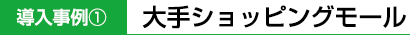 大手ショッピングモール