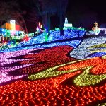 LEDビジョン活用のショーも！　東武動物公園ウインターイルミネーション