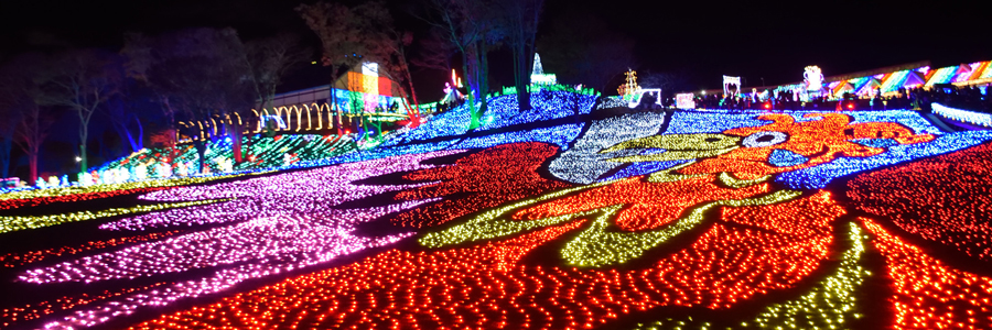 Ledビジョン活用のショーも 東武動物公園ウインターイルミネーション デジタルサイネージのことならirodori イロドリ の株式会社オール