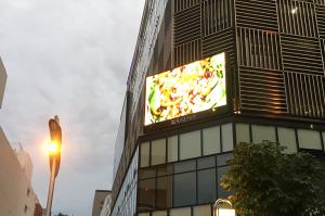 shizuoka02